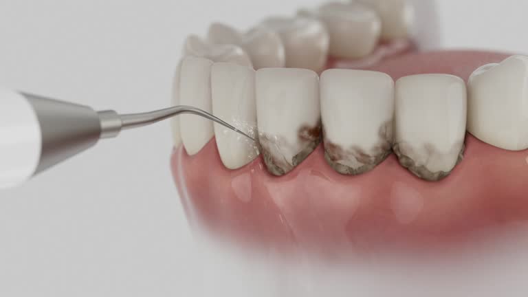 Reliable Dental contractor in Hamilton, GA by Dentist Open Now